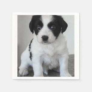 Adsible Black and White Puppy Pappersservett