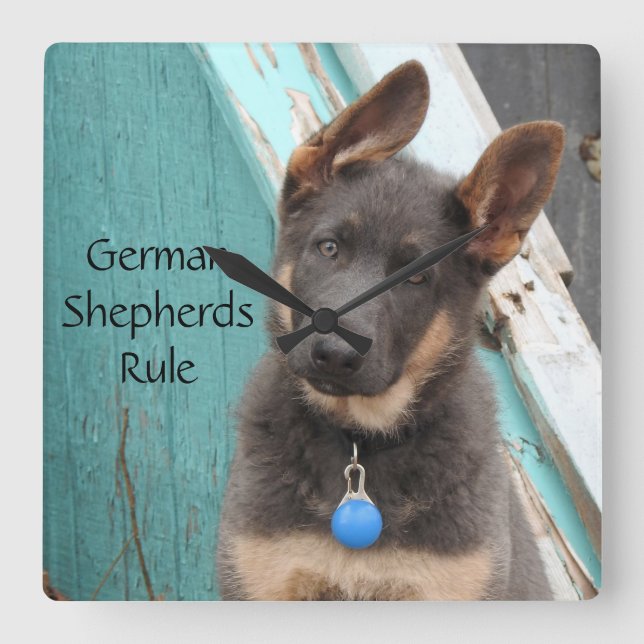 Adsible Blue German Shepherd Puppy Fyrkantig Klocka (Framsida)