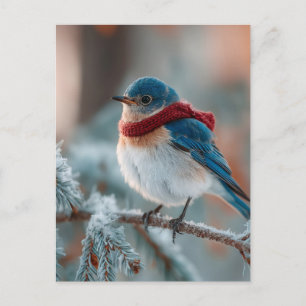 Adsible Bluebird in a Scarf Helg Vykort