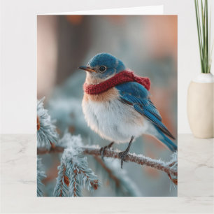 Adsible Bluebird in a Scarf Kort