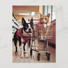 Adsible Boston Terrier och en Cat go Shopping Vykort