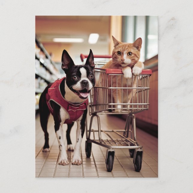 Adsible Boston Terrier och en Cat go Shopping Vykort (Framsida)