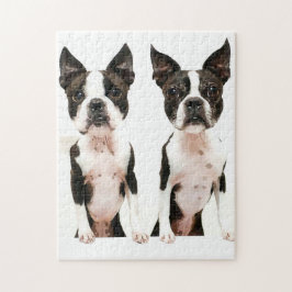 Adsible Boston Terrier Tecknad hund Pussel