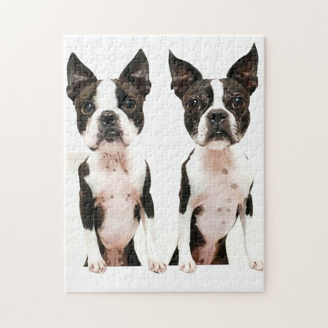 Adsible Boston Terrier Tecknad hund Pussel (Vertikal)