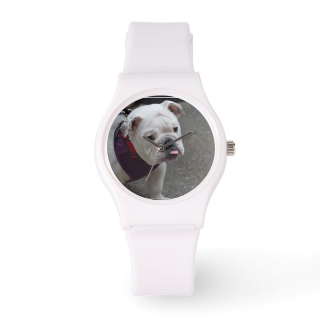 Adsible Bulldog Armbandsur (Framsida)