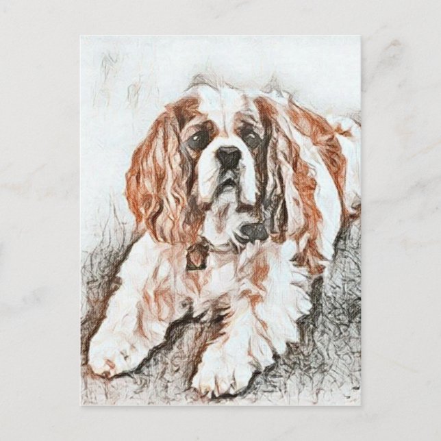 Adsible Cavalier Kung Charles Spain Sketch Vykort (Framsida)
