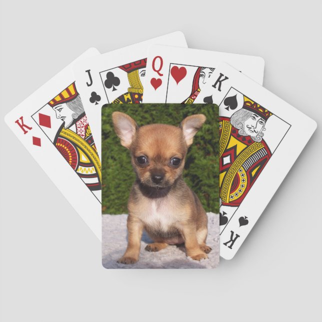 Adsible Chihuahua Puppy Hund Casinokort (Baksidan)