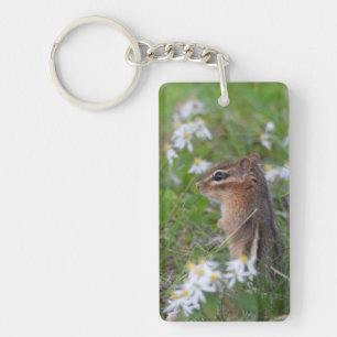 Adsible Chipmunk in blommor
