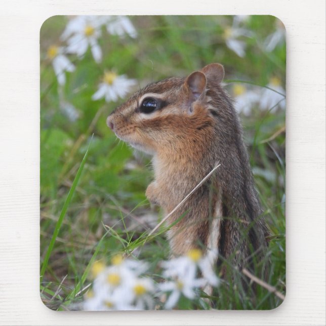 Adsible Chipmunk in blommor Musmatta (Framsidan)