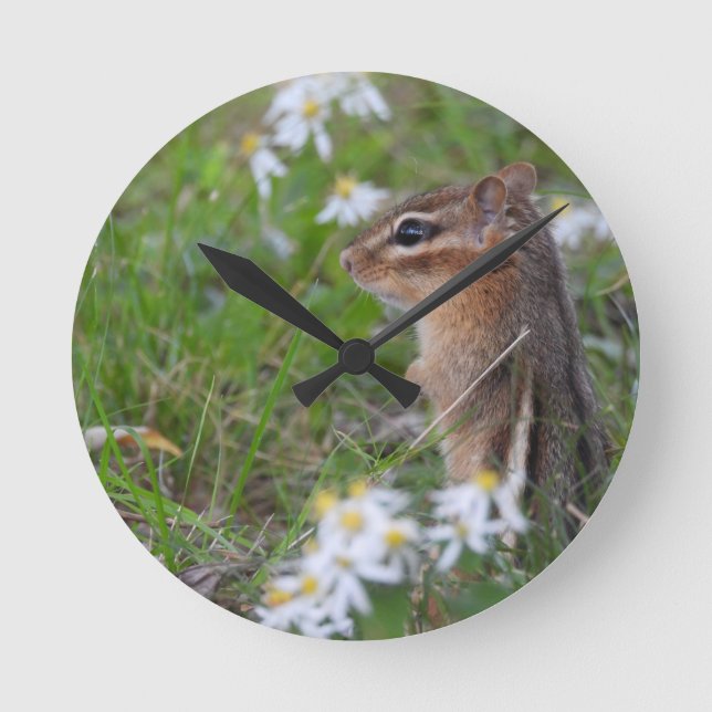Adsible Chipmunk in blommor Rund Klocka (Framsida)