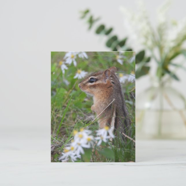 Adsible Chipmunk in blommor Vykort (Stående Fram)