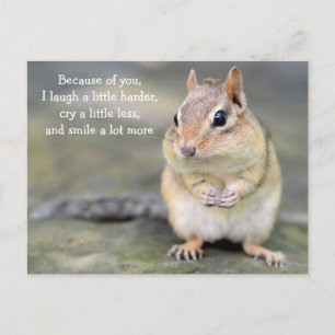 Adsible Chipmunk med Vänskap Quote Vykort