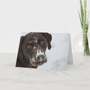 Adsible Chocolate Lab-gratulationskort Kort