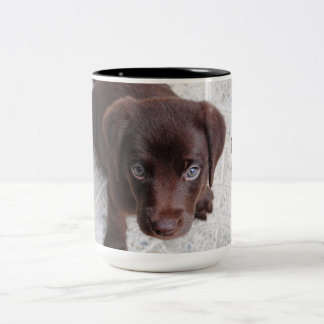 Adsible Chocolate Labrador Retriever puppy Två-Tonad Mugg