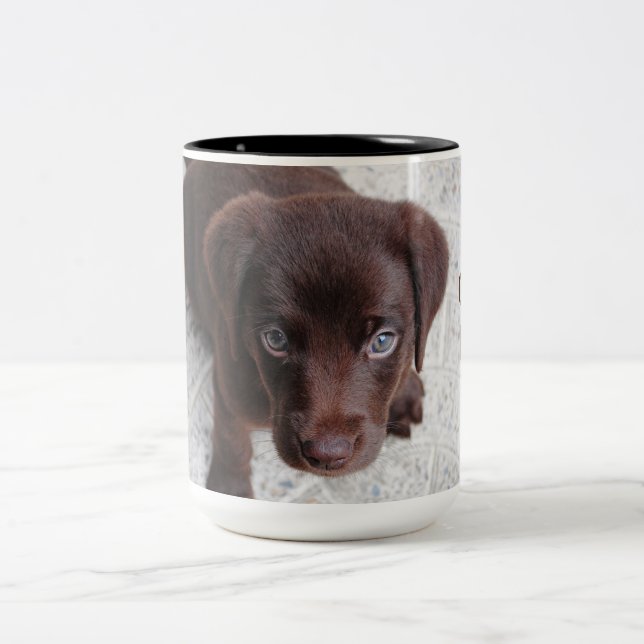 Adsible Chocolate Labrador Retriever puppy Två-Tonad Mugg (Center)