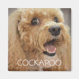 Adsible Cockapoo Hund Smiling Magnet