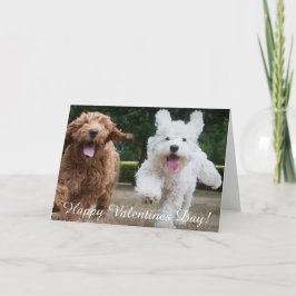 Adsible Cockapoo Puppies | Valentines day-kort Helgkort