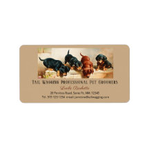 Adsible Cute Dachshund Doxies Puppy Pet Grooming
