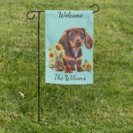 Adsible Dachshund Puppy