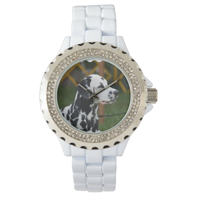 Adsible Dalmatian Armbandsur (Framsida)