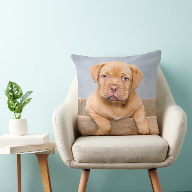 Adsible Dogue de Bordeaux puppy, Dekorativ kudde (Stol)