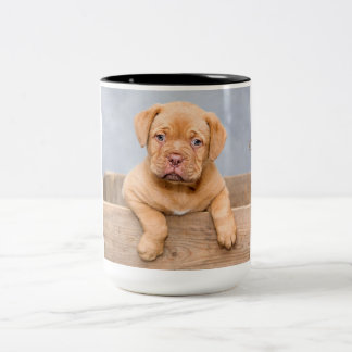 Adsible Dogue de Bordeaux Två-Tonad Mugg