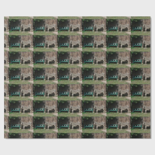 Adsible Donkey Next to Wooden Grönt Bench Presentpapper (Platt)