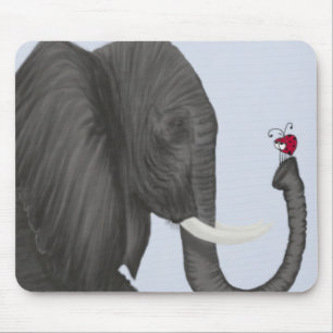Adsible Elephant and Cute Ladybug Musmatta