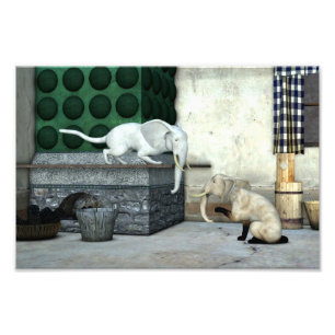 Adsible Elephant Cats Fototryck
