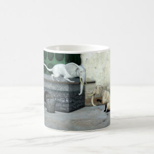 Adsible Elephant Cats Kaffemugg