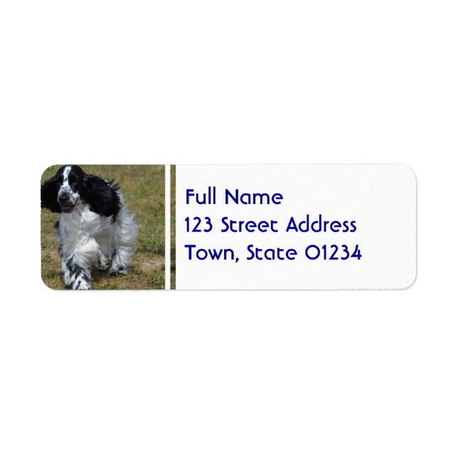 Adsible English Cocker Spain Returadress Etikett (Framsidan)