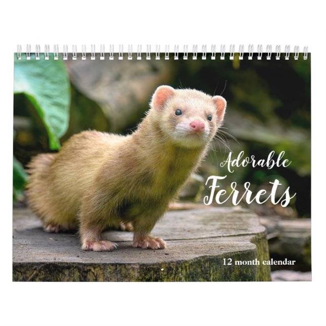 Adsible Ferrets 2026 Kalender (Omslag)
