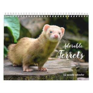 Adsible Ferrets 2026 Kalender
