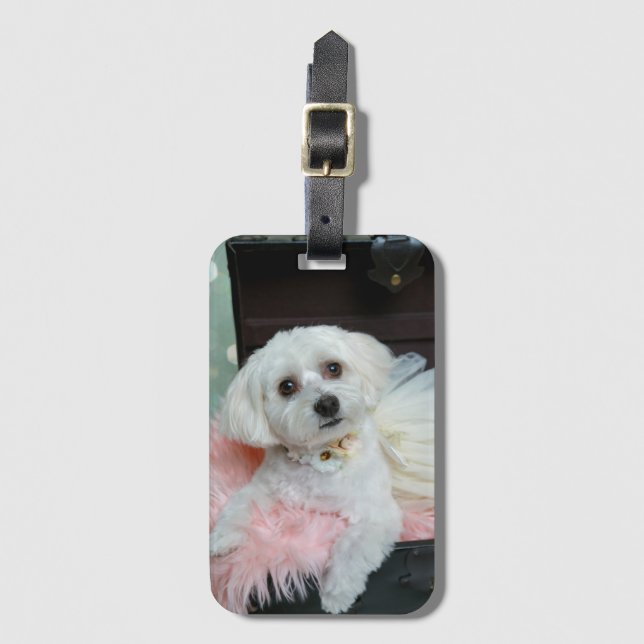 Adsible Finare White Puppy Porträtt Photo Bagagebricka (Framsida vertikal)