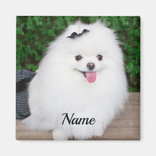 Adsible Fluffy White Puppy Hund Magnet