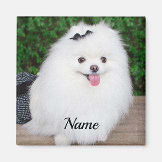 Adsible Fluffy White Puppy Hund Magnet