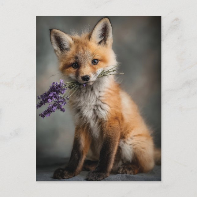 Adsible Fox Kit Holding Lavender Flowers Helg Vykort (Framsida)