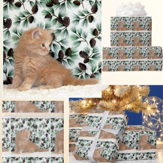 Adsible Ginger Kitten - Kat-julen Presentpapper (Skapare uppladdad)