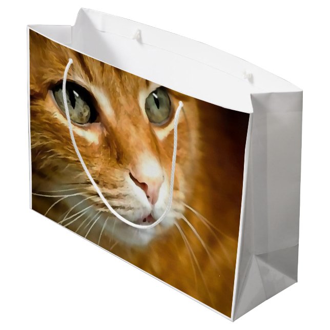 Adsible Ginger Tabby katt Posing Pet Porträtt (Baksidan Vinklad)