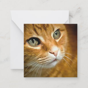 Adsible Ginger Tabby katt Posing Pet Porträtt Anteckningskort