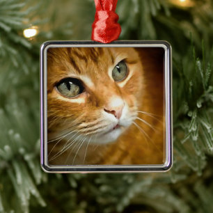 Adsible Ginger Tabby katt Posing Pet Porträtt Julgransprydnad Metall