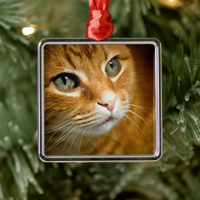 Adsible Ginger Tabby katt Posing Pet Porträtt Julgransprydnad Metall (Träd)