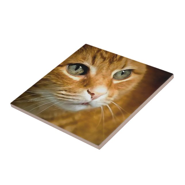 Adsible Ginger Tabby katt Posing Pet Porträtt Kakelplatta (Sidan)