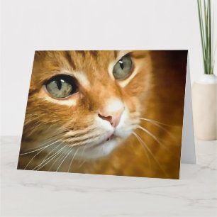 Adsible Ginger Tabby katt Posing Pet Porträtt Tack Kort