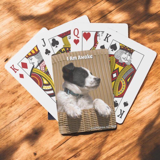 Adsible Gräns Collie Heeler Sömnig mariy Casinokort (Sleeping puppy playing cards)