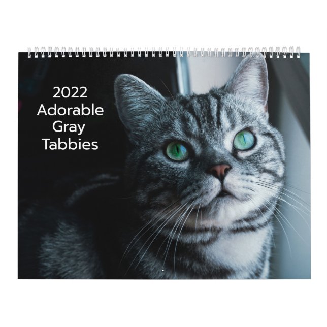 Adsible Grått Tabbies 2022 Calendar Kalender (Omslag)