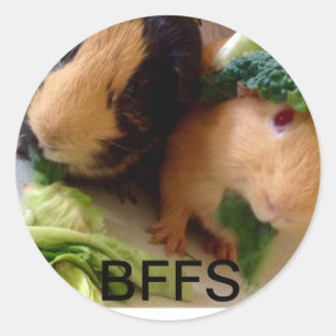 Adsible Guinea Grisar BFF Stickers Runt Klistermärke