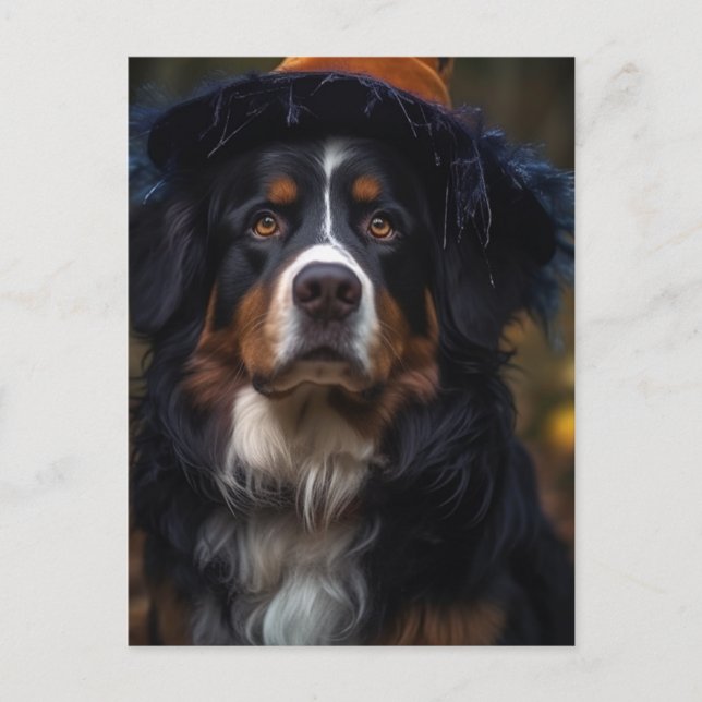 Adsible Halloween Bernese Mountain Hund Vykort (Framsida)