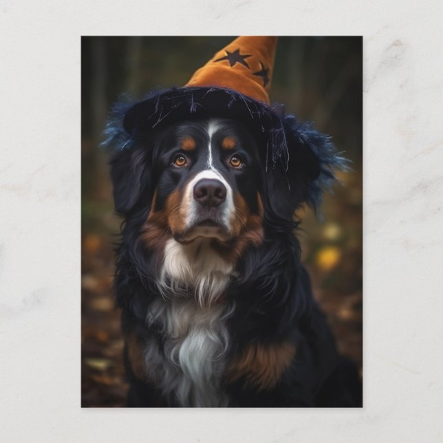 Adsible Halloween Bernese Mountain Hund Vykort (Framsida)