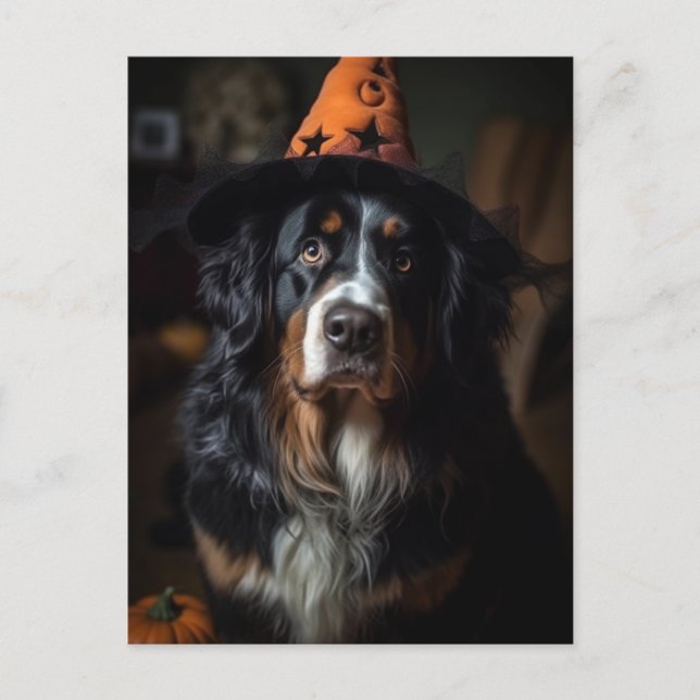Adsible Halloween Bernese Mountain Hund Vykort (Framsida)